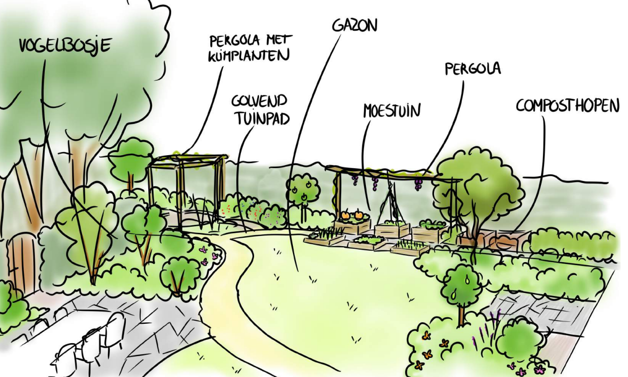 Ontwerp tuin